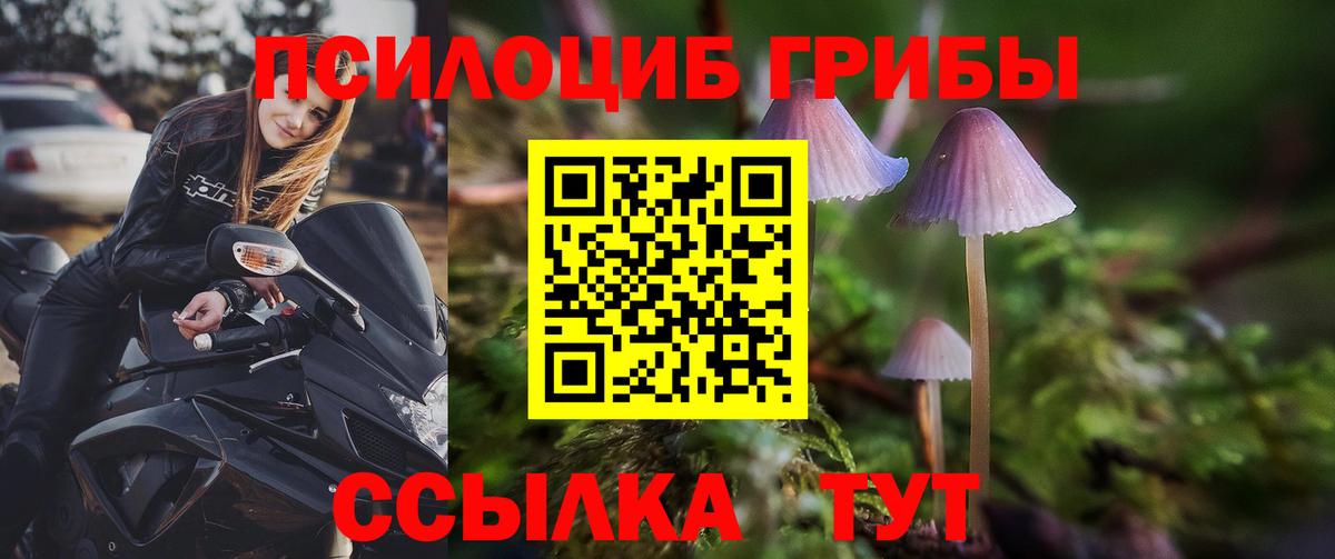 Псилоцибиновые грибы MAGIC MUSHROOMS  Псилоцибиновые грибы Cubensis  наркошоп  Вход с VPN  Клин 