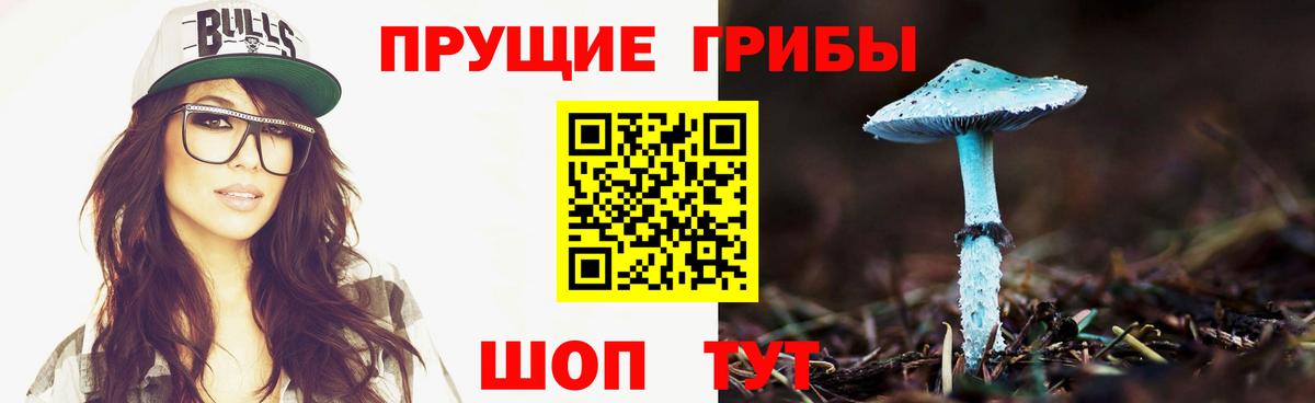 Галлюциногенные грибы GOLDEN TEACHER Клин